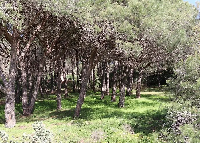Villa De Charme En Pinede, 4 Chambres Climatisees, Acces Direct Plage - Fr-1-100-209